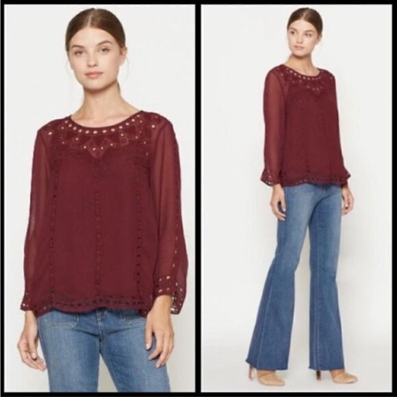 Joie Gaiane sheer chiffon embroidered top in Raisin - Picture 4 of 13